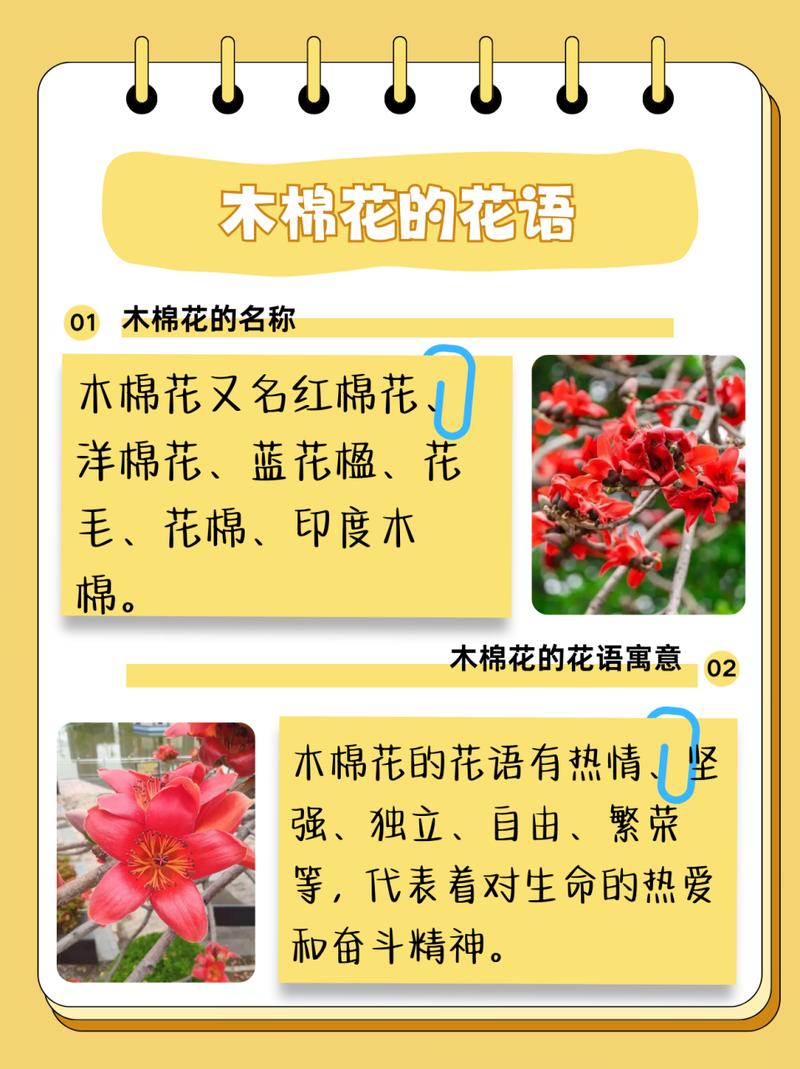 爪哇木棉的养殖方法？爪哇植物？-第6张图片-优品飞百科