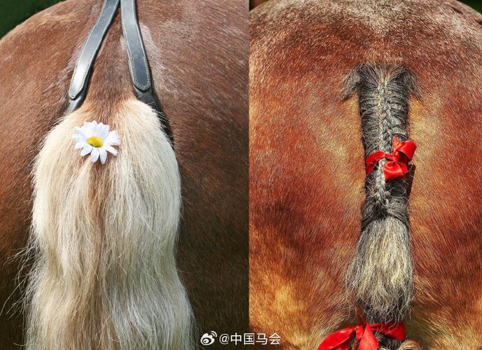 春驹修剪时间,春季修剪时间?-第2张图片-优品飞百科 春驹修剪时间,春季修剪时间?-第2张图片-优品飞百科