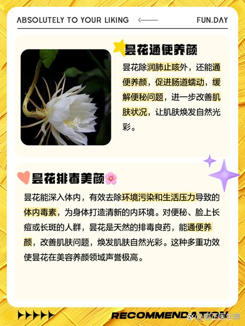 假昙花花谢后怎么管理，假昙花出花苞后要注意什么-第4张图片-优品飞百科