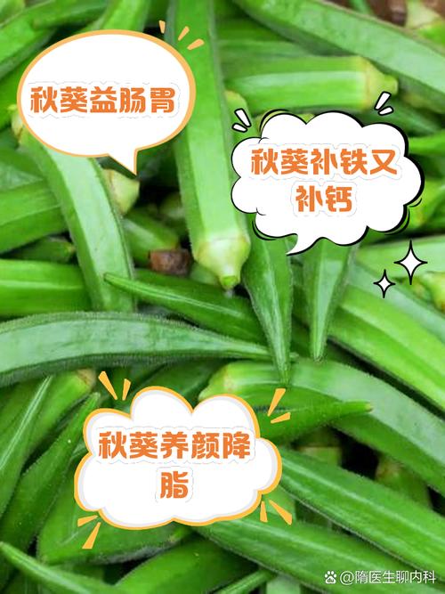 秋葵的种植技术与管理，秋葵的种植方法与时间-第2张图片-优品飞百科