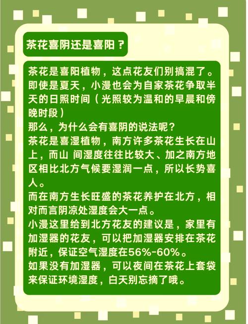 茶花如何养护叶子才能变大，茶花怎么养叶子绿油油？-第5张图片-优品飞百科