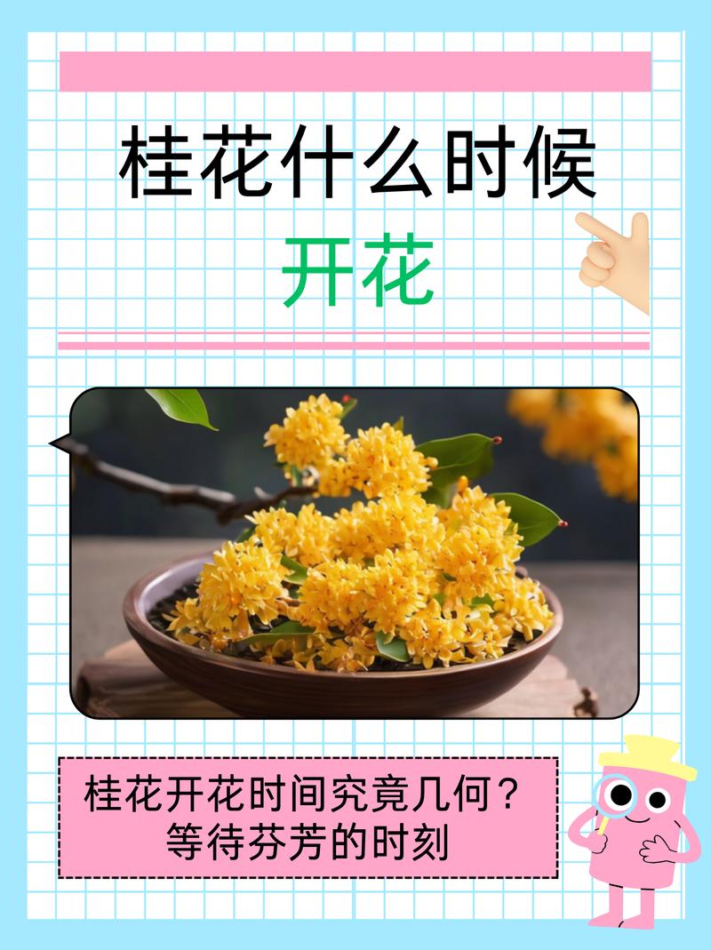 桂花怎么修剪开花多，桂花怎么修剪开花多又好看-第4张图片-优品飞百科