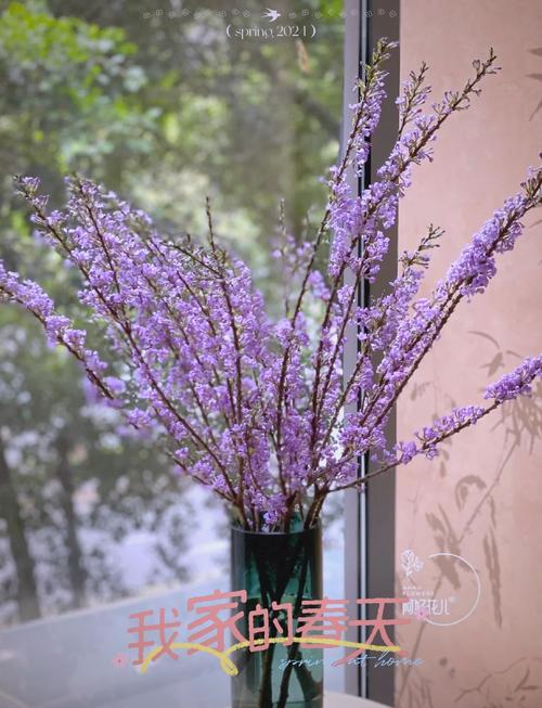 丁香花如何给水，丁香花放水里能活吗？-第5张图片-优品飞百科