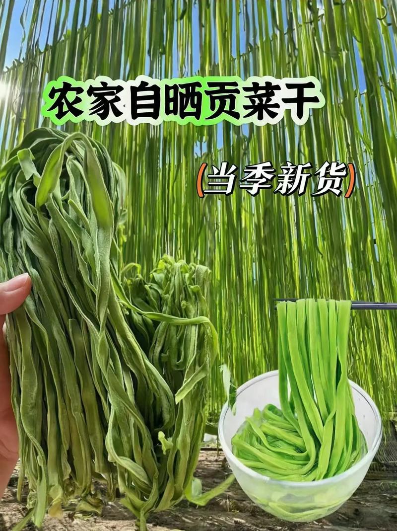 贡菜种植枝术，贡菜栽种方法-第3张图片-优品飞百科