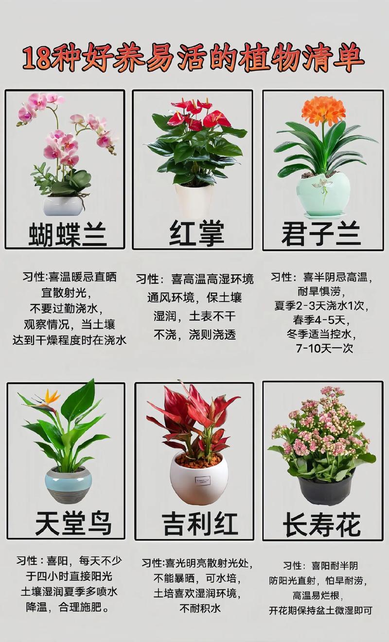 “垃圾”也能养花，垃圾桶养花-第2张图片-优品飞百科