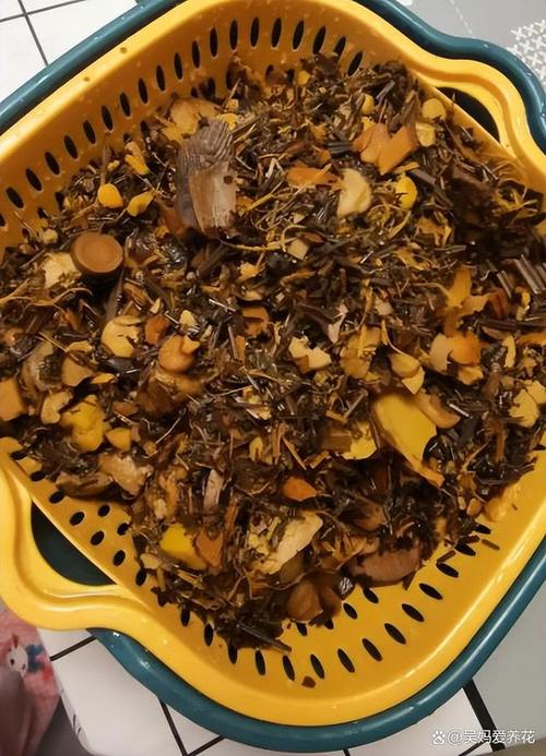“垃圾”也能养花，垃圾桶养花-第4张图片-优品飞百科