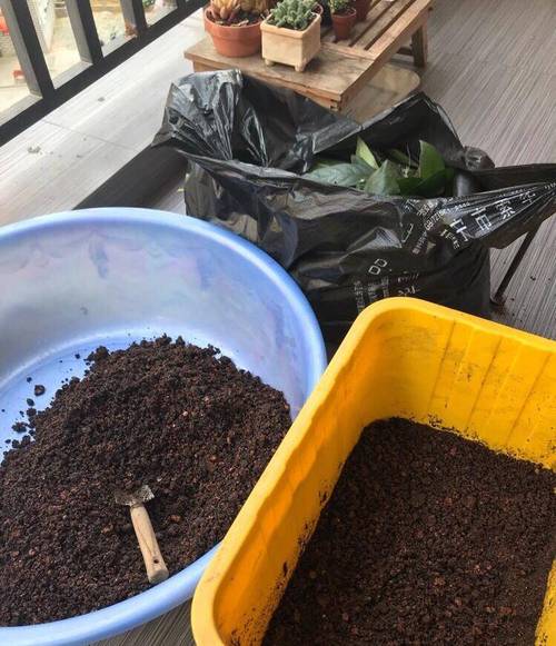 “垃圾”也能养花，垃圾桶养花-第5张图片-优品飞百科