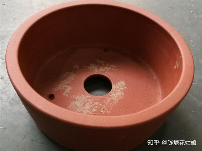 洗碗布丢盆底，洗碗布怎么处理？-第5张图片-优品飞百科
