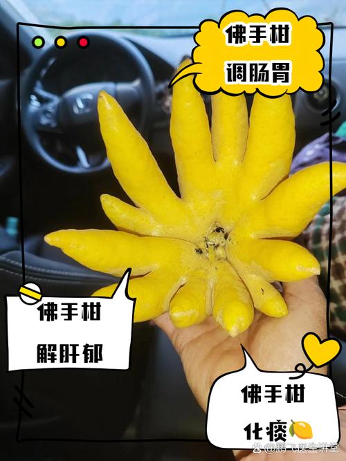 佛手怎么浇水，佛手掌怎么浇水？-第3张图片-优品飞百科