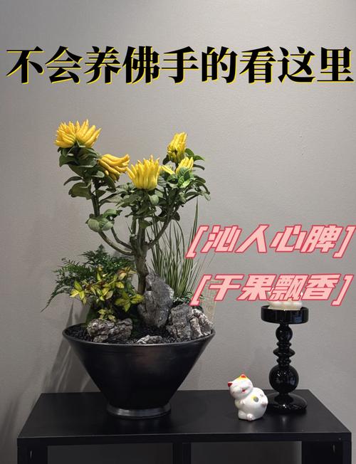 佛手怎么浇水，佛手掌怎么浇水？-第7张图片-优品飞百科