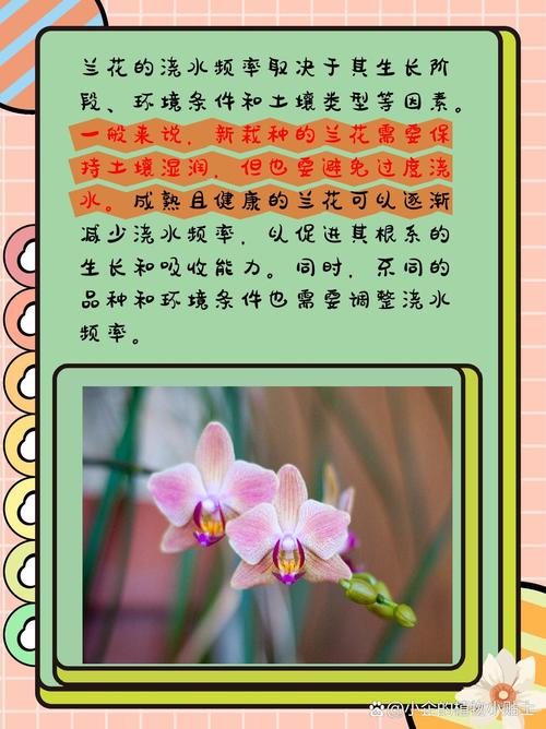 兰花多久浇一次水，兰花多久浇一次水,怎么浇水