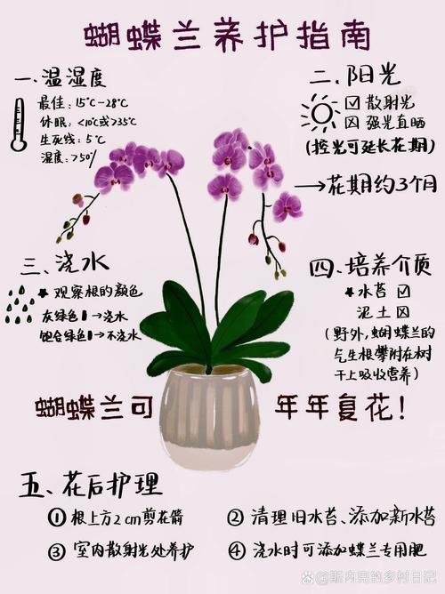 蛾蝶花的养殖方法，蛾蝶花什么时候播种,什么时候开花？-第3张图片-优品飞百科