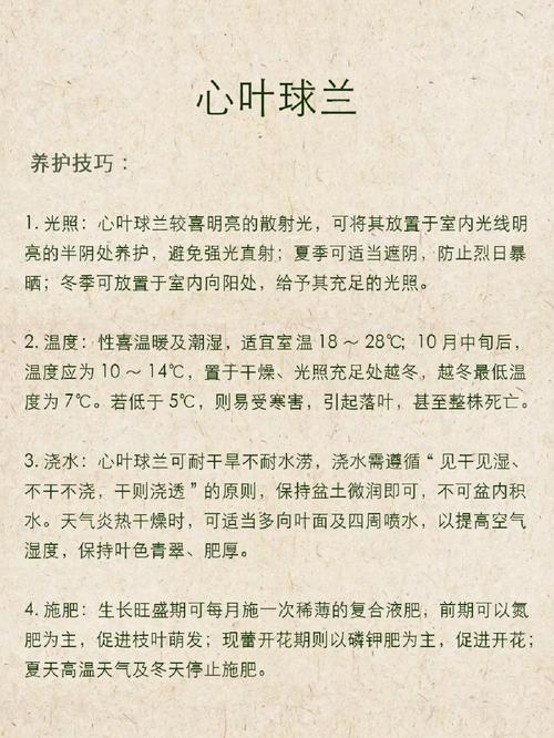 心叶球兰怎么养，心叶球兰养殖方法？-第3张图片-优品飞百科