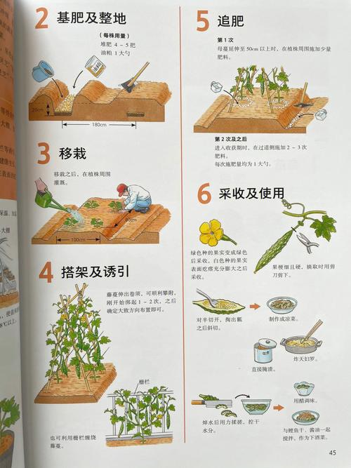 苦瓜种植技术，苦瓜种植技术视频教程-第2张图片-优品飞百科