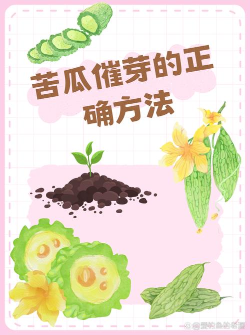 苦瓜种植技术，苦瓜种植技术视频教程-第3张图片-优品飞百科