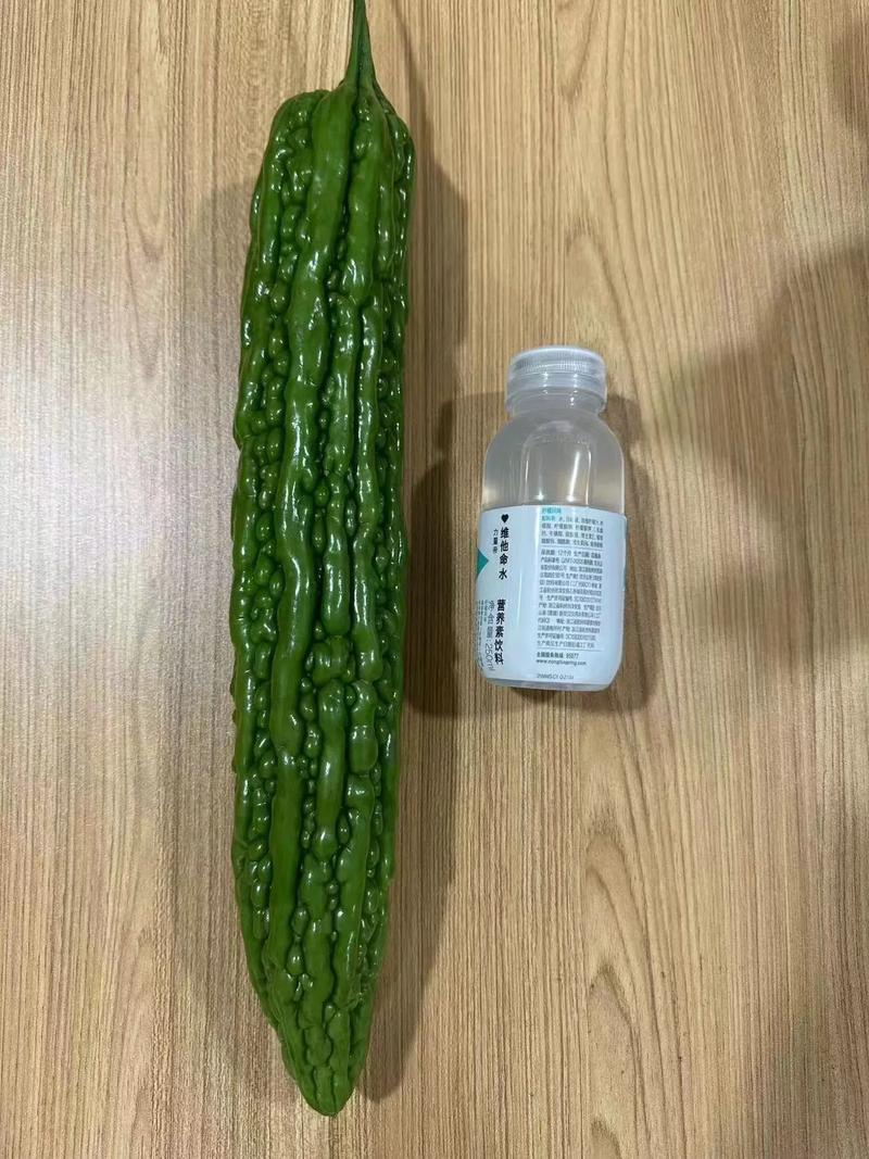 苦瓜种植技术，苦瓜种植技术视频教程-第4张图片-优品飞百科