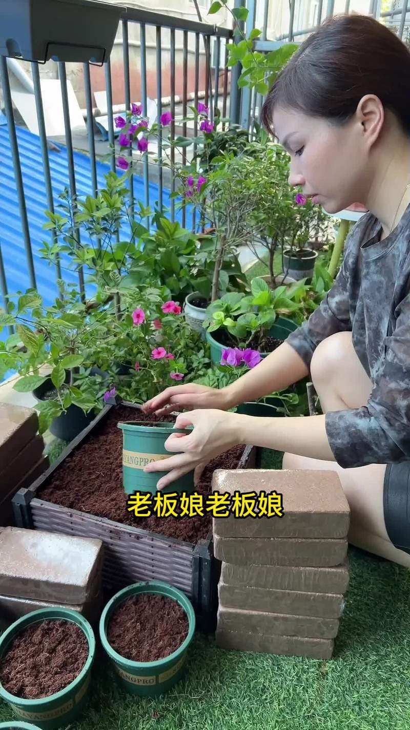 养花“神器”多，养花养神？-第4张图片-优品飞百科