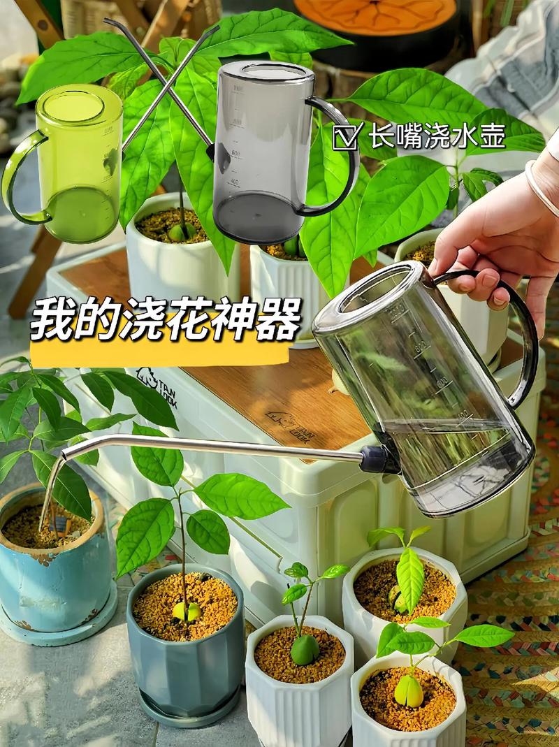 养花“神器”多，养花养神？-第7张图片-优品飞百科