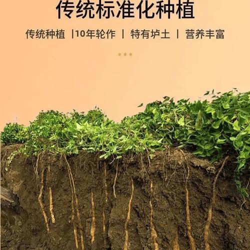 山药播种需要多长时间？山药播种需要多长时间成熟？