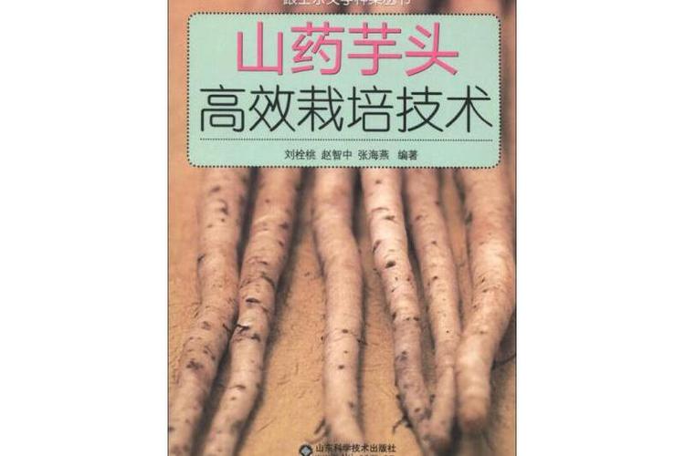 山药播种需要多长时间？山药播种需要多长时间成熟？-第3张图片-优品飞百科