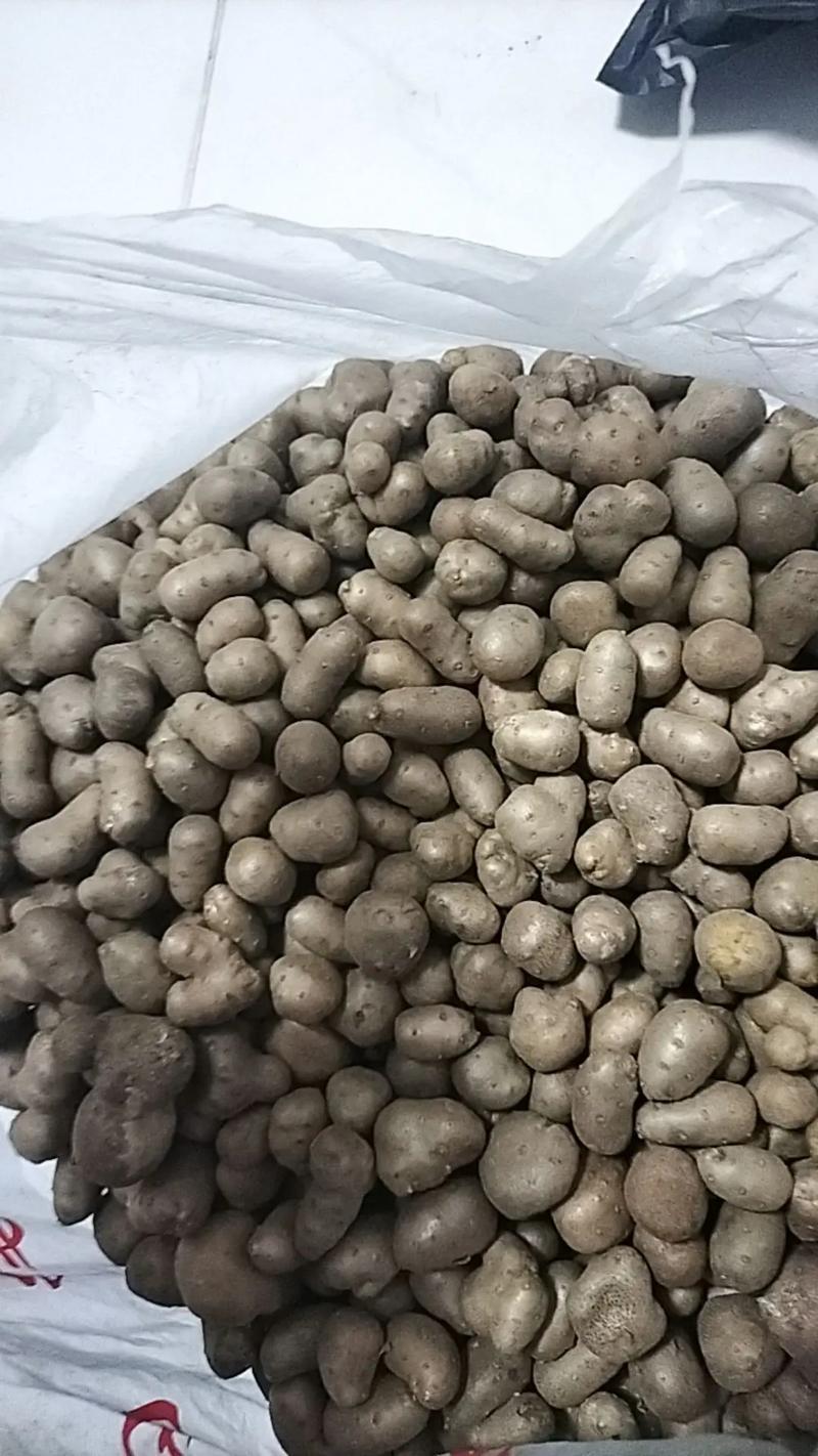 山药播种需要多长时间？山药播种需要多长时间成熟？-第5张图片-优品飞百科