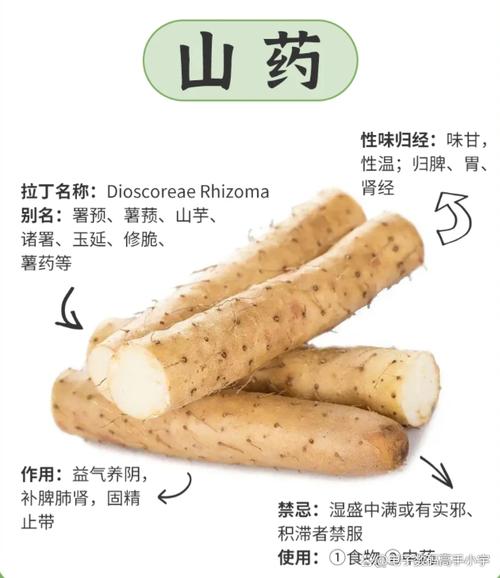 山药播种需要多长时间？山药播种需要多长时间成熟？-第6张图片-优品飞百科