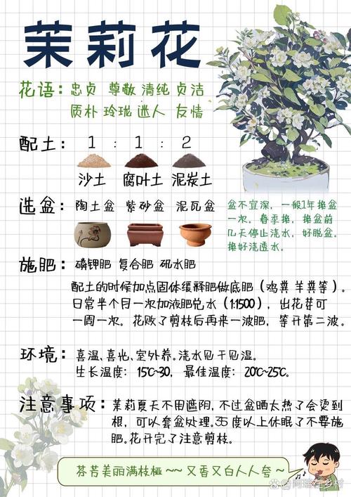 茉莉花秋天怎么养？茉莉花秋天怎么养护和管理？