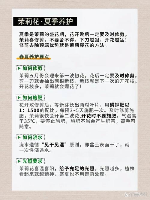 茉莉花秋天怎么养？茉莉花秋天怎么养护和管理？-第4张图片-优品飞百科