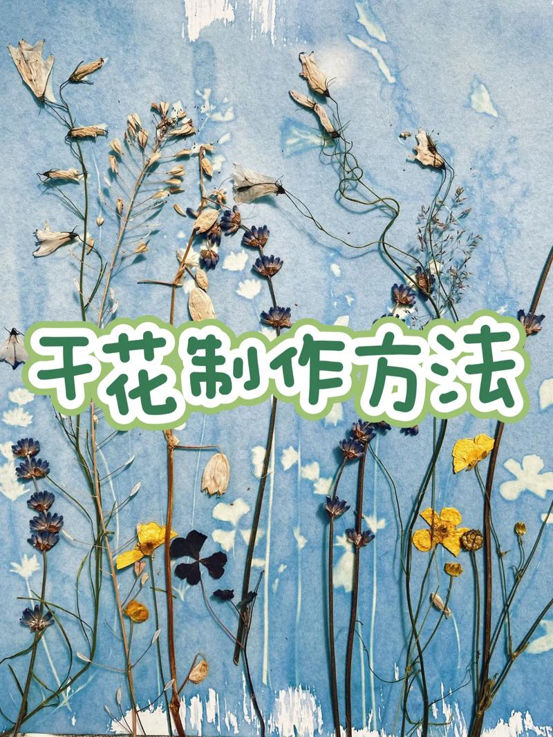 勿忘我怎么养护？勿忘我怎么养 放水养 还是不放水？-第8张图片-优品飞百科