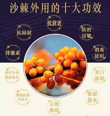 沙棘如何施肥，沙棘施肥图片
