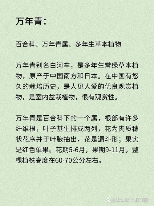广东万年青种子怎么种？广东万年青怎么养才能粗壮？-第2张图片-优品飞百科