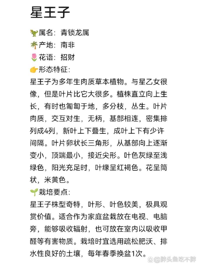 多肉植物星王子怎么养殖？多肉星王子有毒吗？-第3张图片-优品飞百科