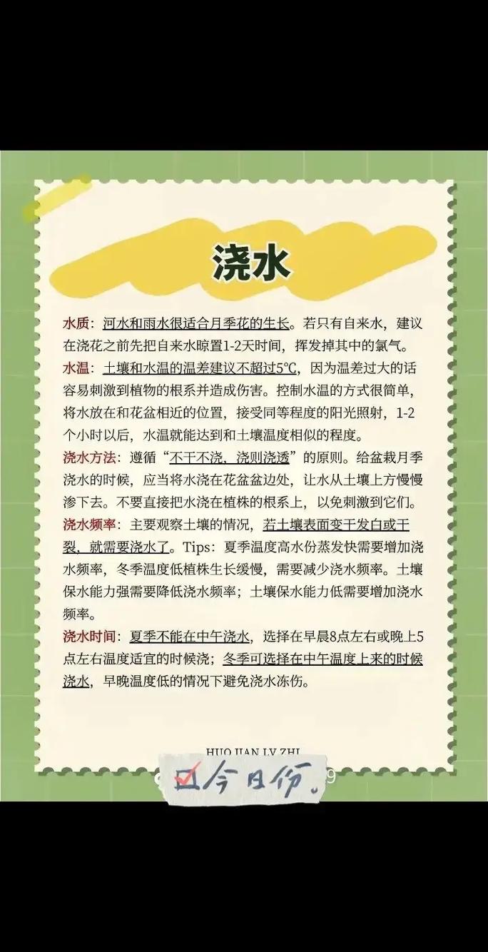 迷你玫瑰的养殖方法，迷你玫瑰盆栽怎么养-第5张图片-优品飞百科