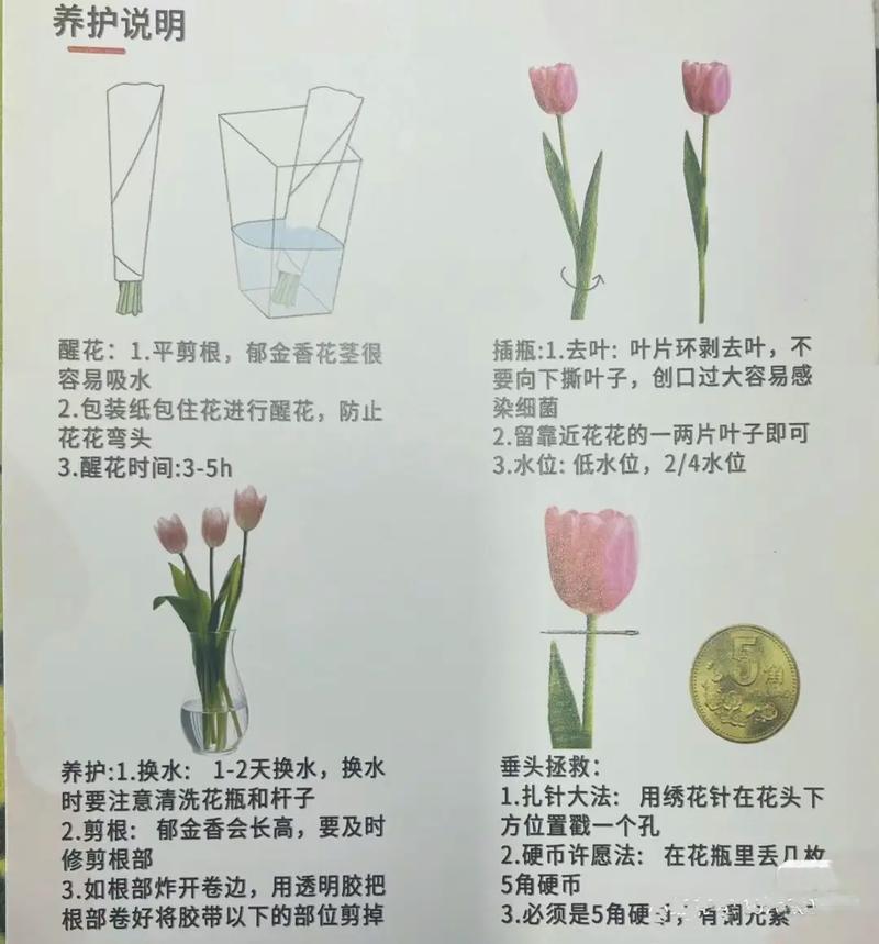 铁线莲春天怎么浇水，铁线莲春天开花后怎么处理？-第2张图片-优品飞百科