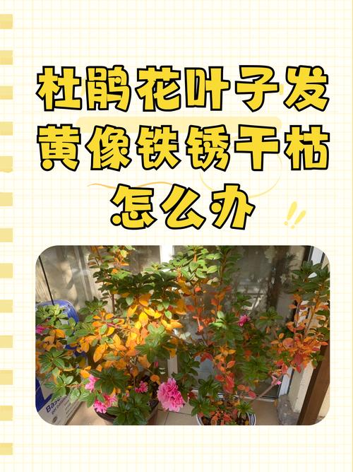 露珠杜鹃的繁殖方式，露珠杜鹃的繁殖方式有哪些-第3张图片-优品飞百科