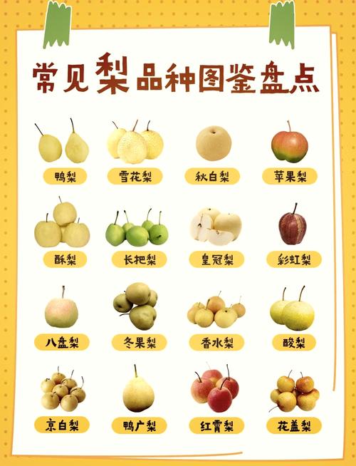 梨树种子怎么种，梨树种子怎么种植方法-第6张图片-优品飞百科