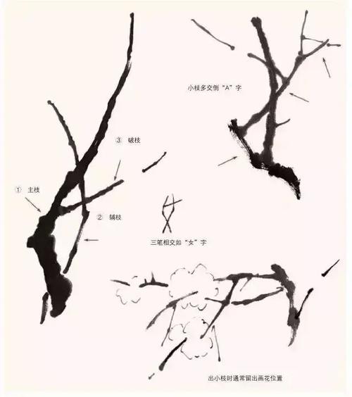 梅花冬天怎么养，梅花冬天怎么养护和浇水-第5张图片-优品飞百科