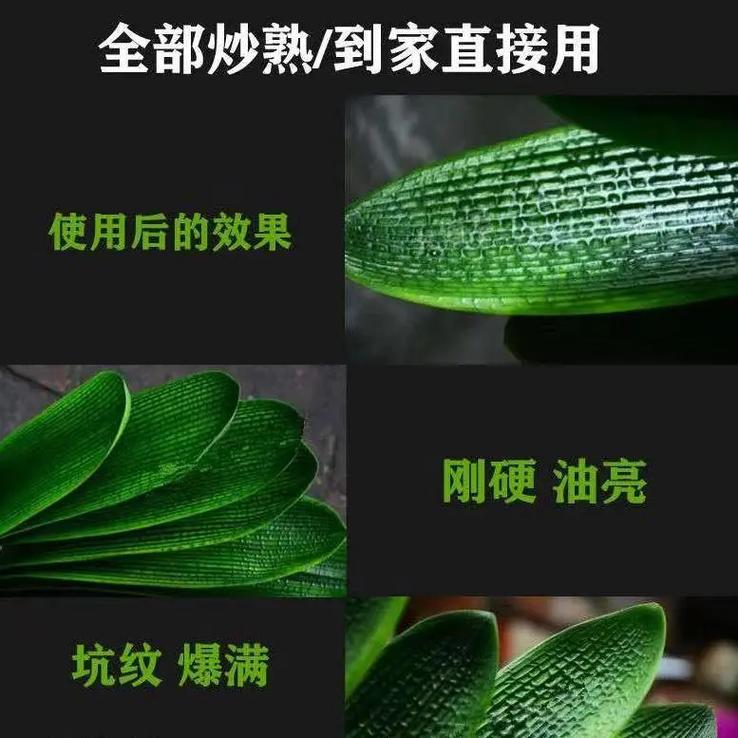 绿萝浇水可以加大豆油吗？绿萝能浇油吗？-第2张图片-优品飞百科