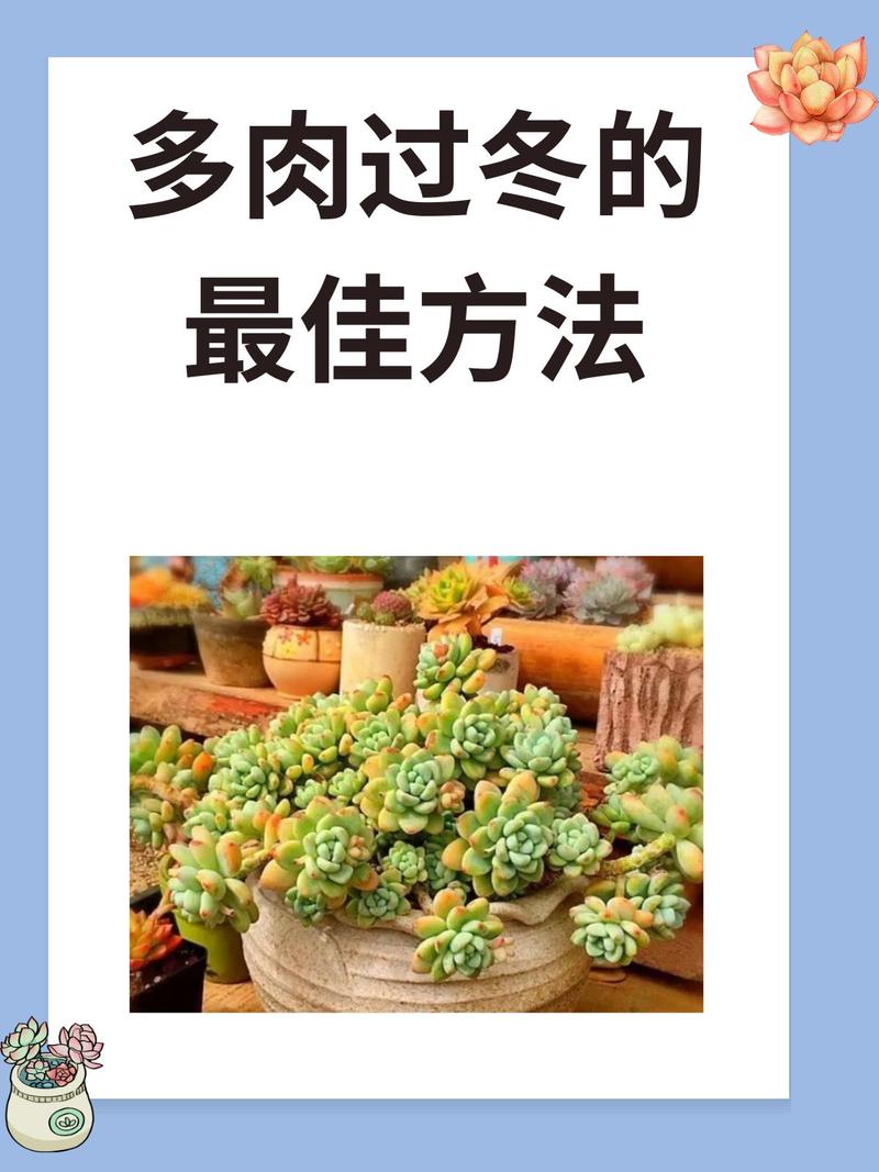 养花冬天要防冻，养花冬天要施肥吗？