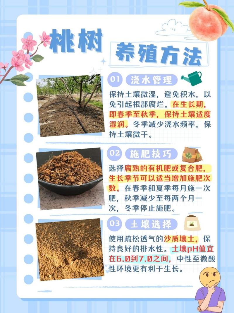 桃花秋天怎么养？秋季桃花？-第5张图片-优品飞百科