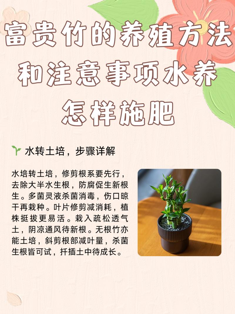 富贵竹怎么水养才开花，富贵竹怎么水养注意事项-第3张图片-优品飞百科