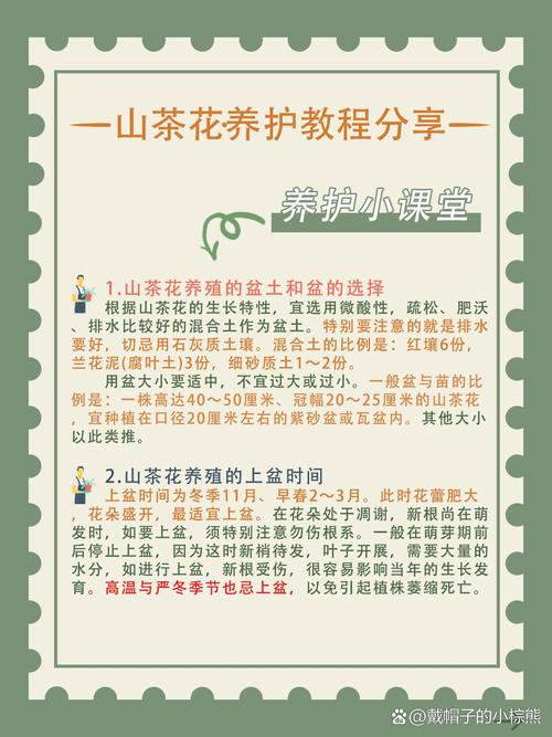 山茶花的养殖方法，赤丹山茶花的养殖方法-第3张图片-优品飞百科