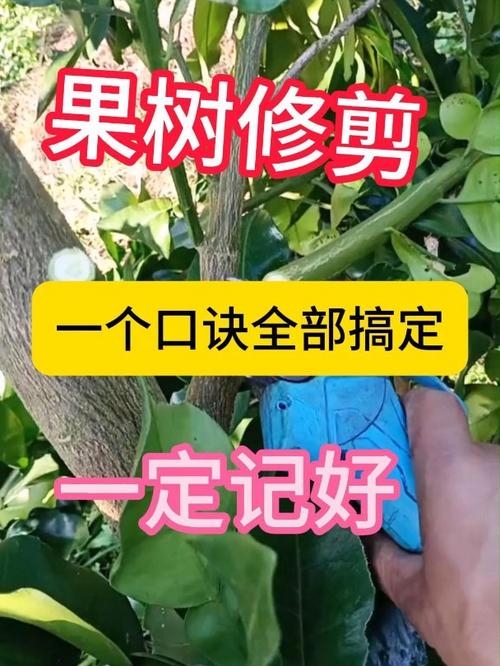 苹果树修剪方法，七年的苹果树修剪方法