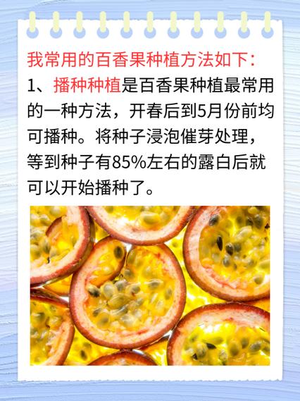 百香果如何种植管理，百香果怎么种植方法如下？-第2张图片-优品飞百科