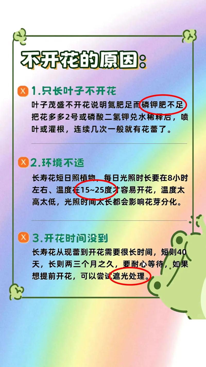 长寿花怎么养长得旺？长寿花怎么养?？-第3张图片-优品飞百科