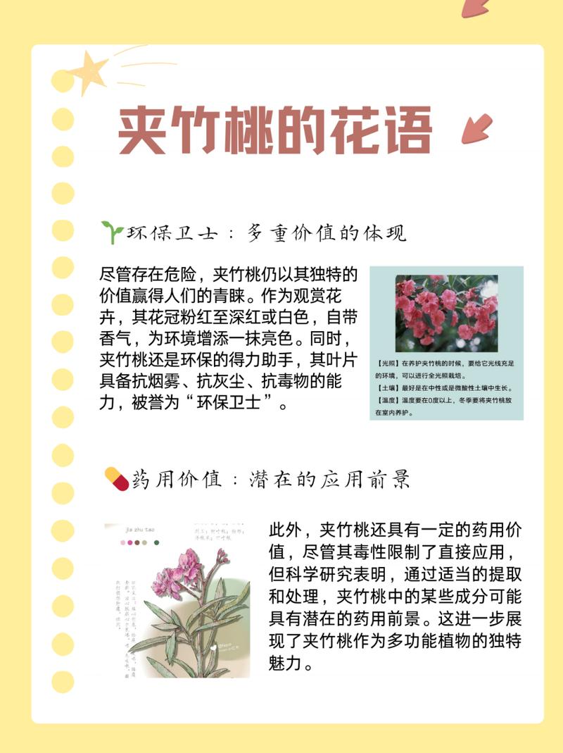 夹竹桃春天怎么养，夹竹桃怎么养植-第4张图片-优品飞百科
