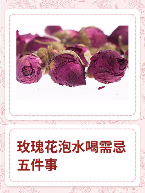玫瑰花怎么养水里，玫瑰花怎么养水里可以放几天？-第2张图片-优品飞百科