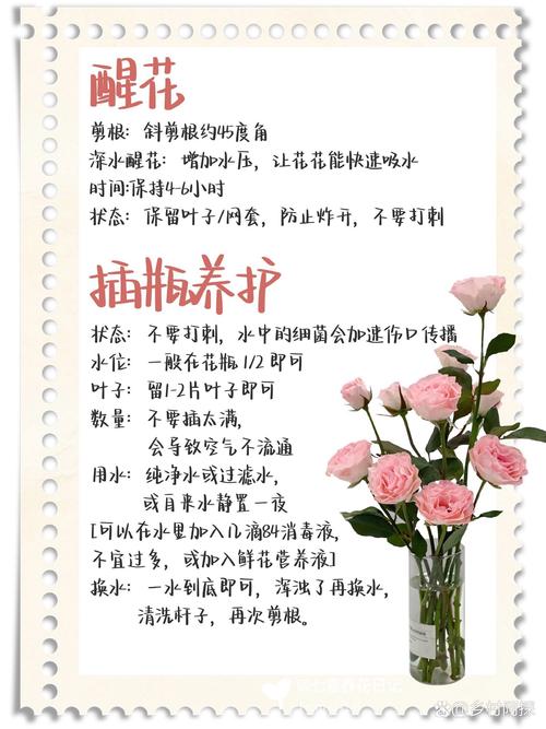 玫瑰花怎么养水里，玫瑰花怎么养水里可以放几天？-第4张图片-优品飞百科