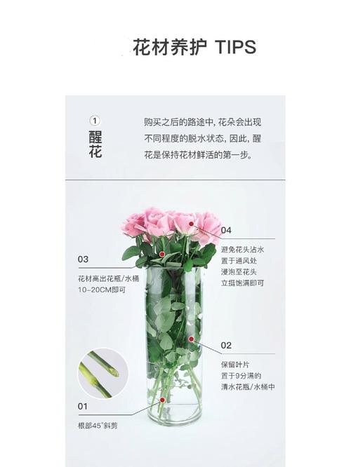 玫瑰花怎么养水里，玫瑰花怎么养水里可以放几天？-第7张图片-优品飞百科
