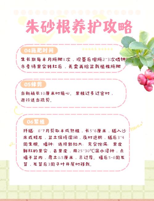 朱砂根怎么养？朱砂根怎么养护？